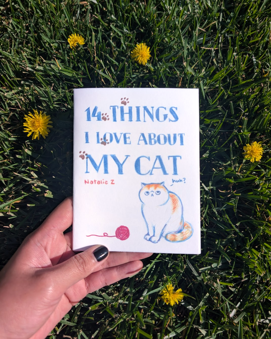 14 Things I Love About My Cat Zine