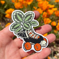 Orange Calathea Skate Sticker