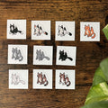 Stinky Cat Sticker Pack