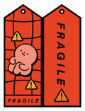 Fragile Flight Tag