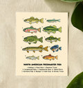 Freshwater Fish 5x7 Print