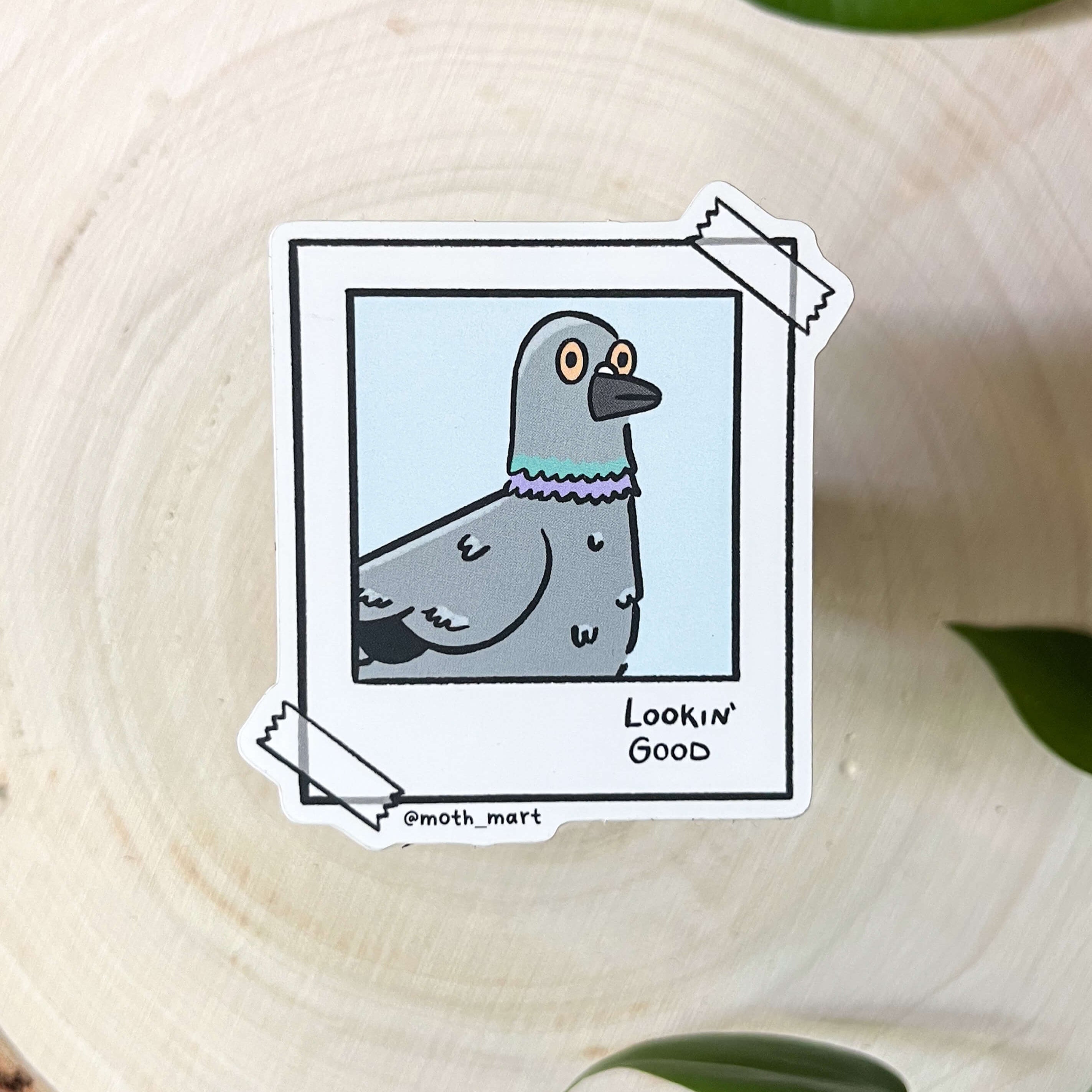 Pigeon Sticker