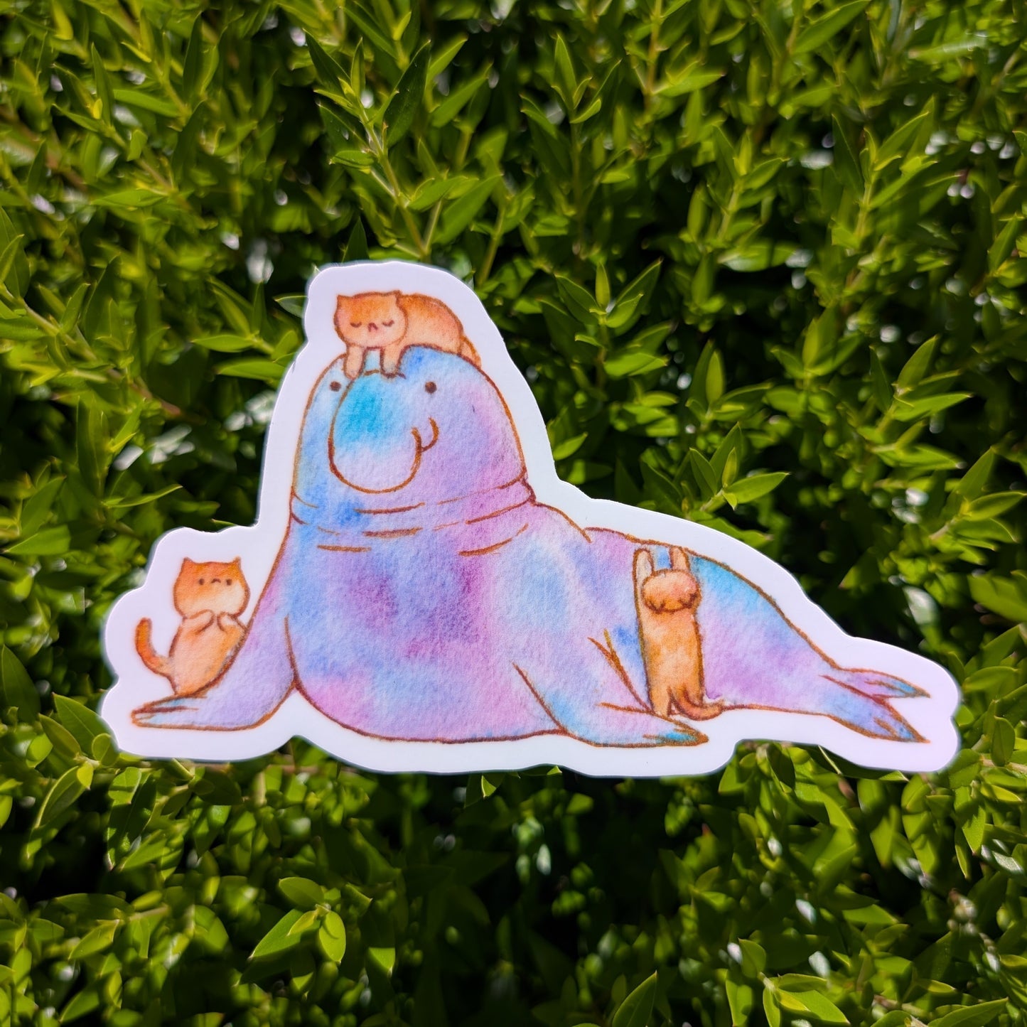 Elephant Seal Sticker