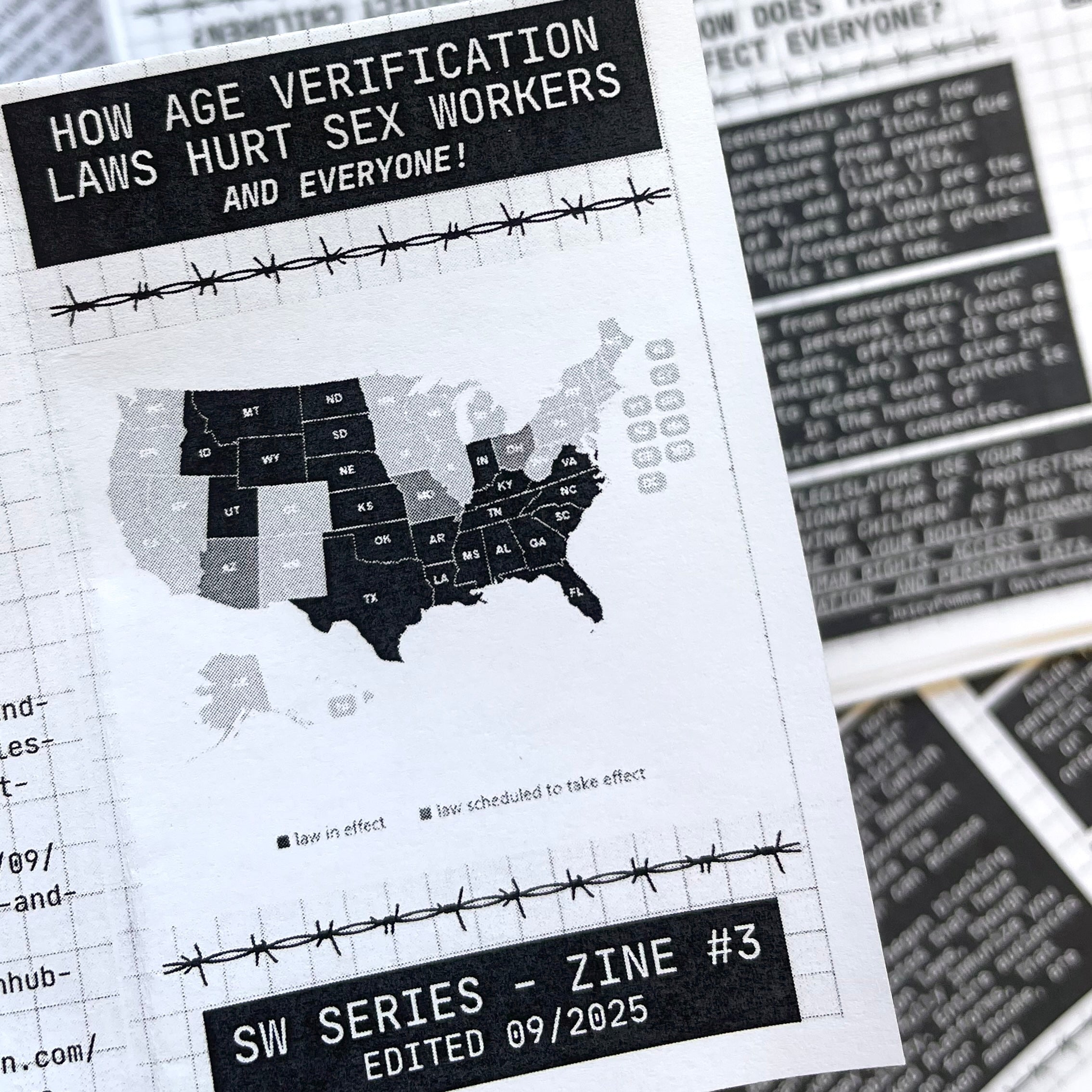 Age Verication Laws Zine (DSW #3)