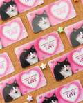 Full of Love - Cat Motivational Sticker