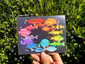 Rainbow Fish Print