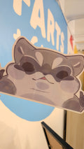 Raccoon Peeker