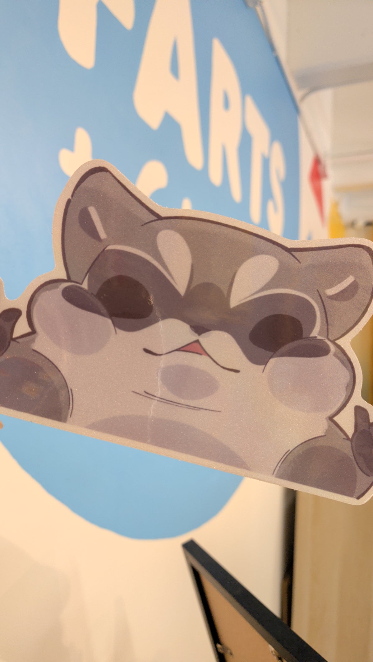 Raccoon Peeker