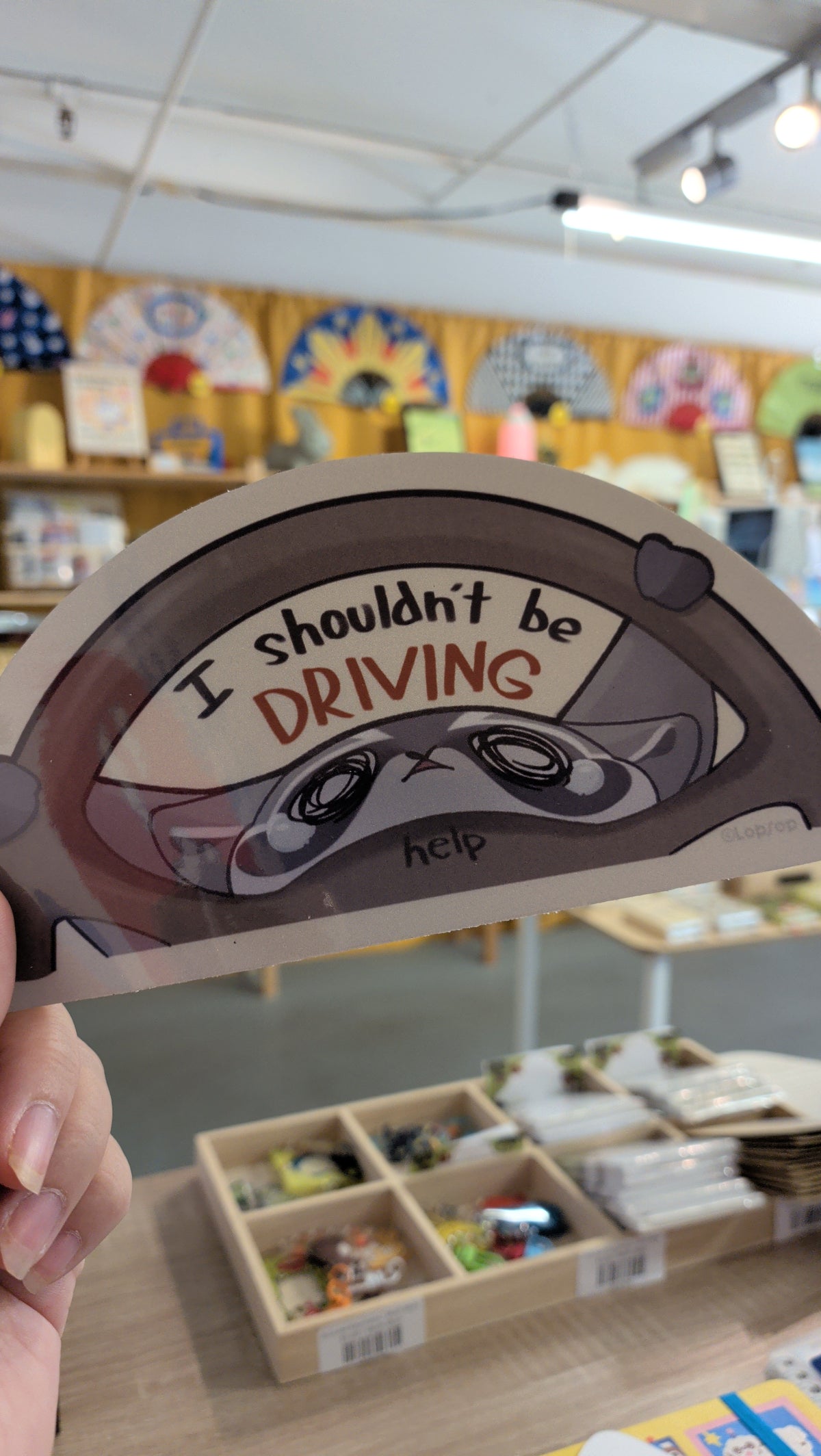 Shouldn't Be Driving Peeker