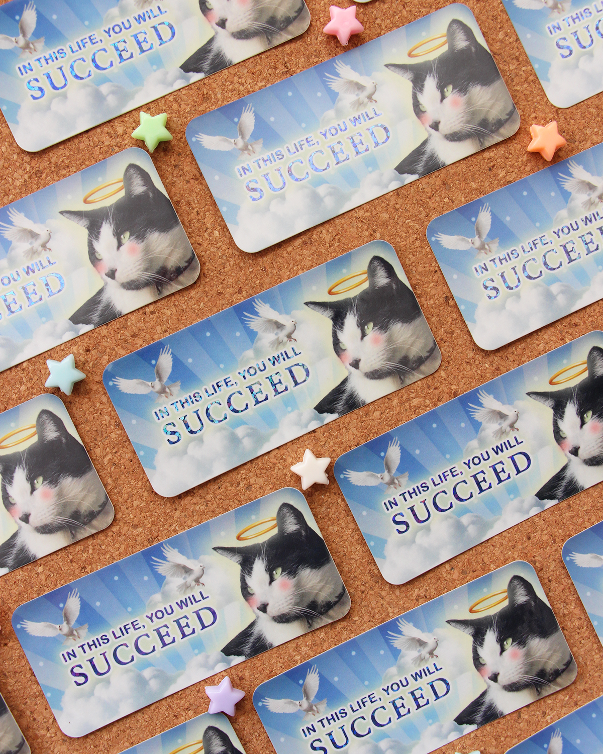Succeed - Cat Motivational Sticker