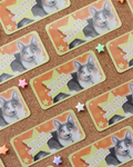 Superstar - Cat Motivational Sticker